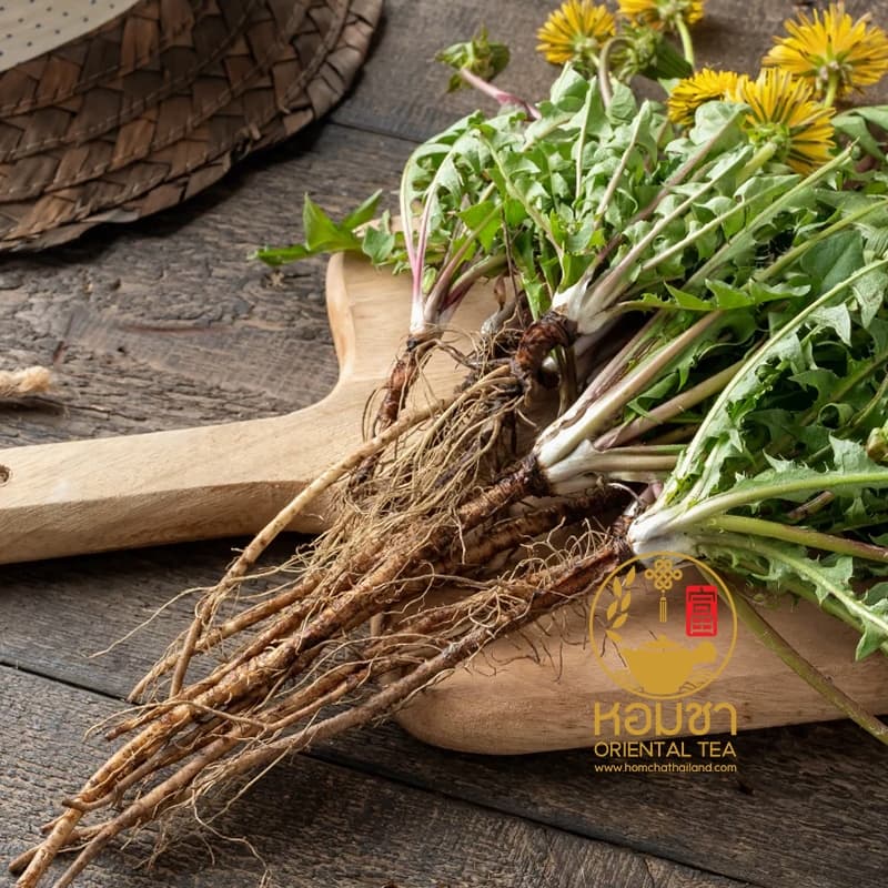 รากแดนดิไลออน ชารากแดนดิไลออน เกรด A ของแท้ Dandelion Root Tea รูปที่ 5