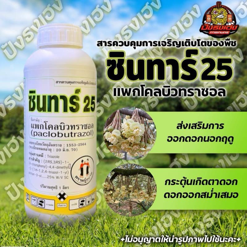 ซินทาร์ 25 ตราหญิงงาม เนื้อครีมละเอียดสูงมากกว่า 45 ไมครอน ควบคุมการเจริญเติบโตของพืช รูปที่ 1