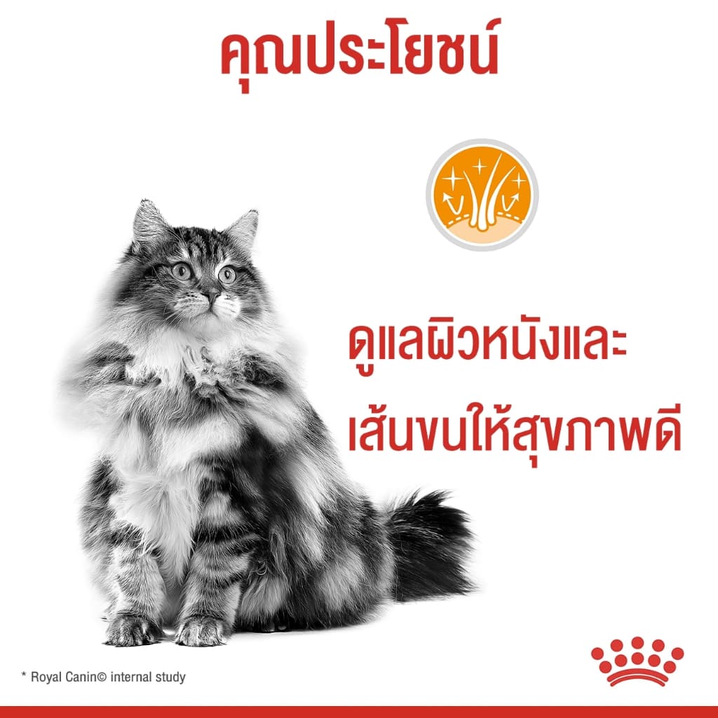 Royal Canin Hair & Skin 2kg,4Kg และ 10kg อาหาร แมวโต เน้น บำรุงขน และ ผิวหนัง hair&skin รูปที่ 6