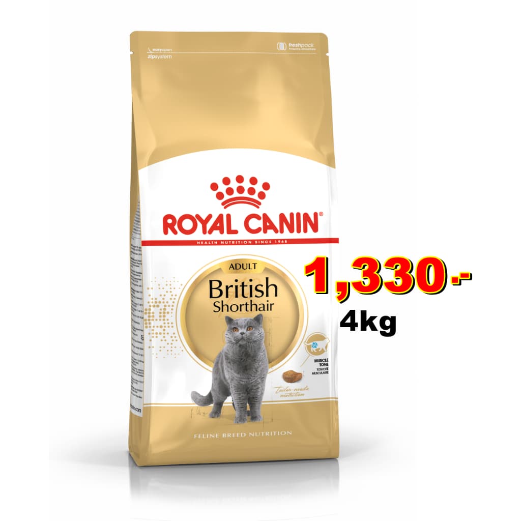 Royal canin british shorthair 4 kg อาหาร สำหรับแมวโต พันธุ์ บริติช ชอร์ตแฮร์ 4 กก.Exp:05/2027 รูปที่ 2