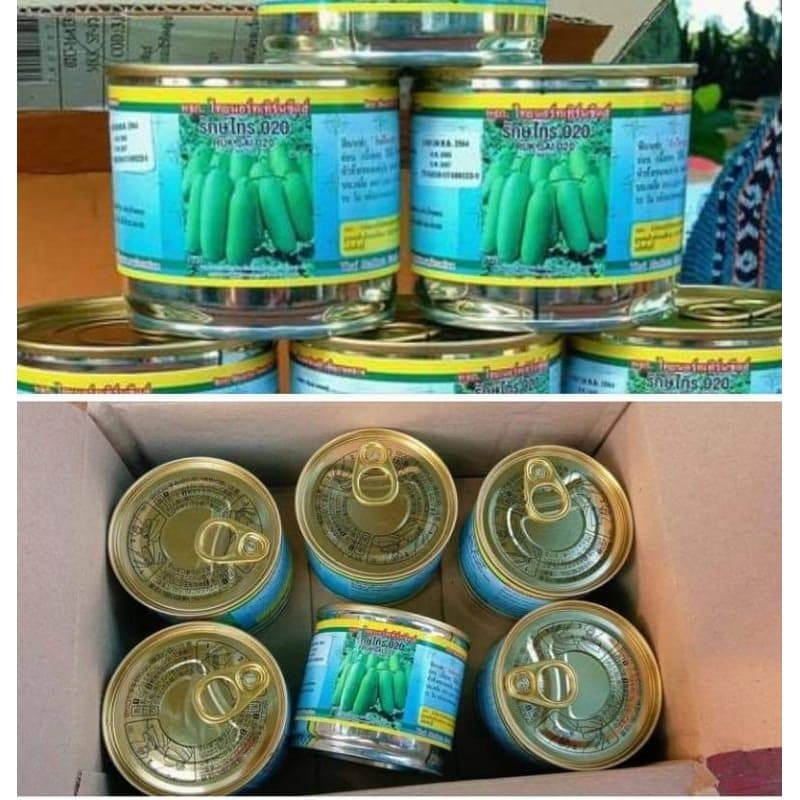 เมล็ดแฟงอ่อนรักษ์ไทร020 บรรจุ50กรัม รูปที่ 6