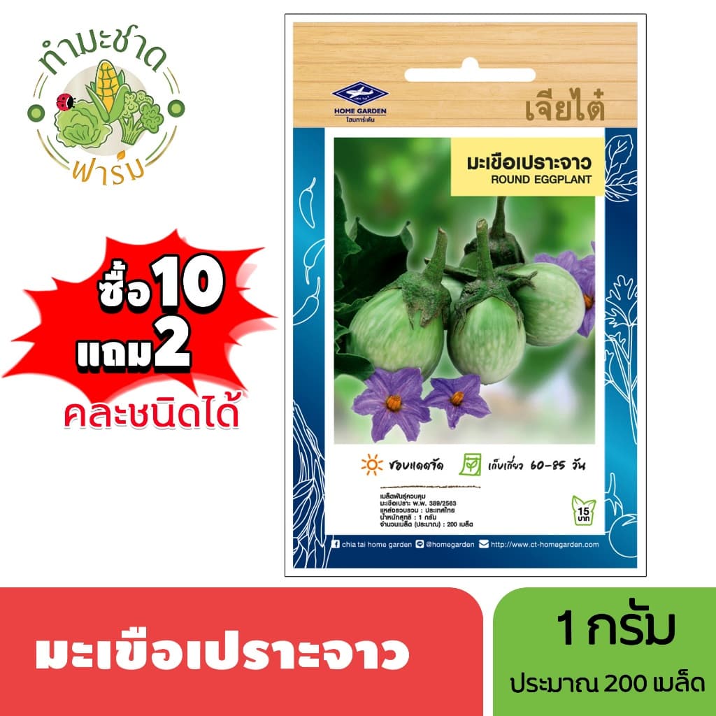 เจียไต๋ เมล็ดพันธุ์ มะเขือเปราะจาว ขนาด1กรัม ประมาณ200เมล็ด Round Eggplant มะเขือเปราะ เมล็ดพันธุ์พืช เมล็ด รูปที่ 1