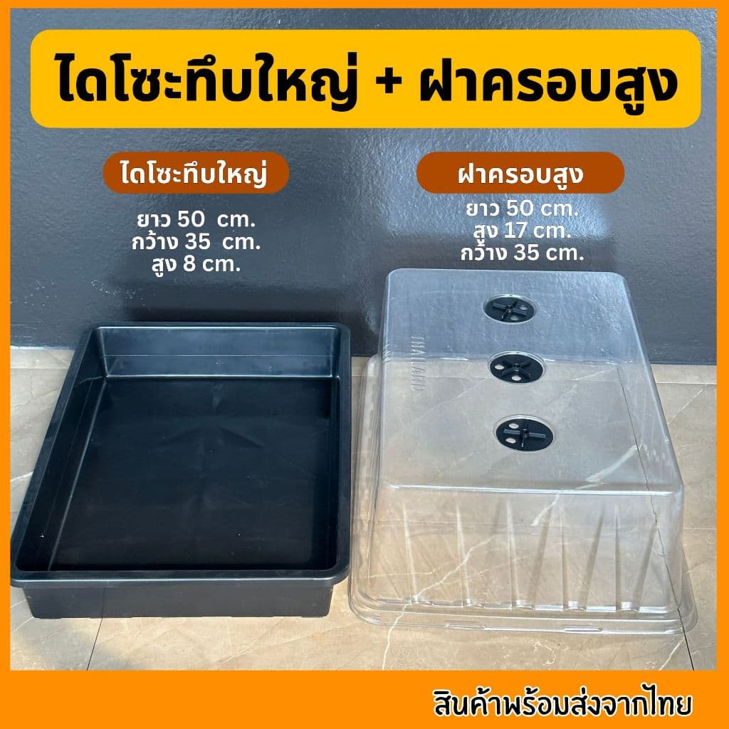 ชุดเพาะเมล็ด เซ็ตถาดไดโซะ ถาดทึบ ถาดรู ชุดเพาะชำ ฝาครอบ ถูกที่สุด รูปที่ 4