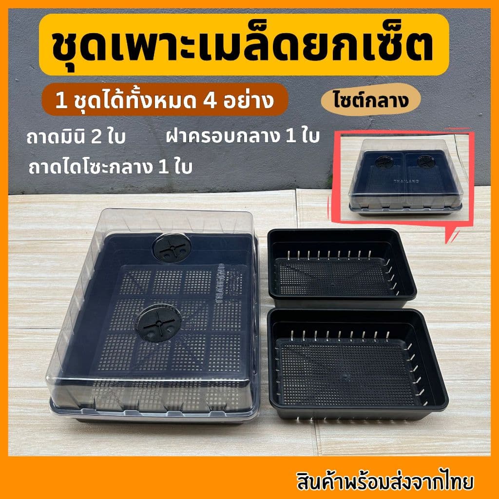 ชุดเพาะเมล็ด เซ็ตถาดไดโซะ ถาดทึบ ถาดรู ชุดเพาะชำ ฝาครอบ ถูกที่สุด รูปที่ 5