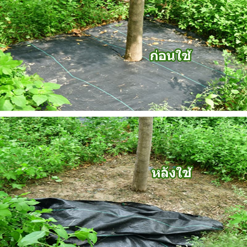 ผ้าคลุมหญ้า ผ้าคลุมดิน พลาสติกคลุมวัชพืช พราสติกคลุมดิน ผ้าคลุมวัชพืช คลุมวัชพืช น้ำซึมผ่านได้ 50 เมตร 100 เมตร รูปที่ 4