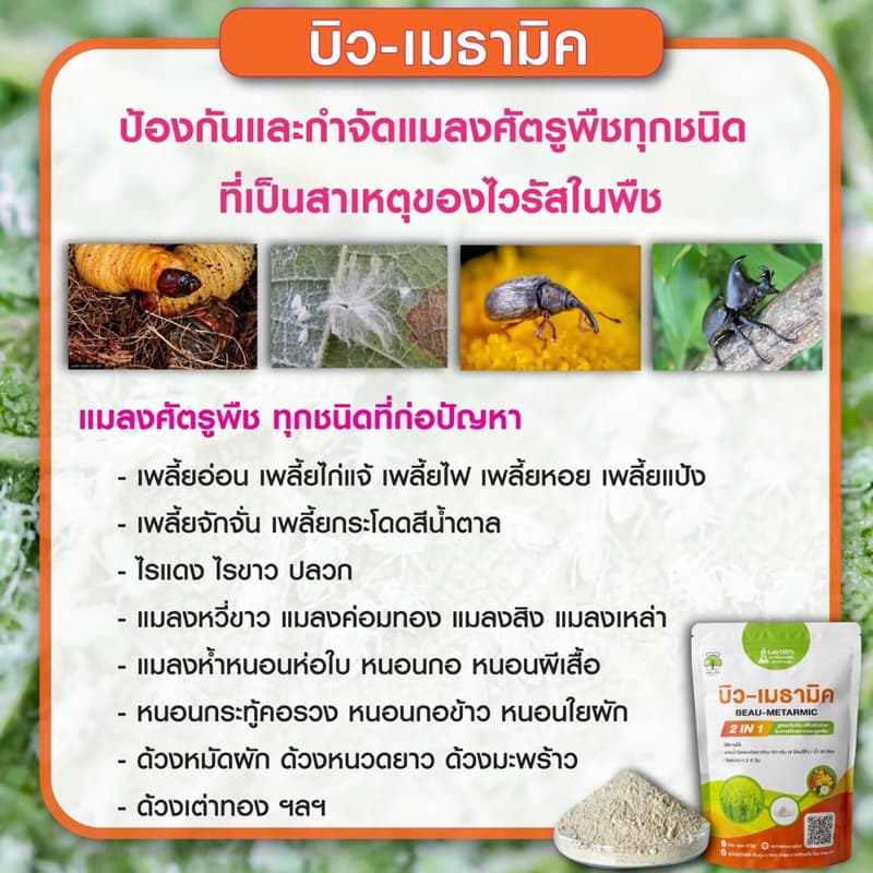กำจัดเชื้อรา + กำจัดแมลง สาเหตุของการเกิดโรคในพืช ซุปเปอร์ไตรโค+บิว-เมธทมิค ตราเทพมงคล รูปที่ 6