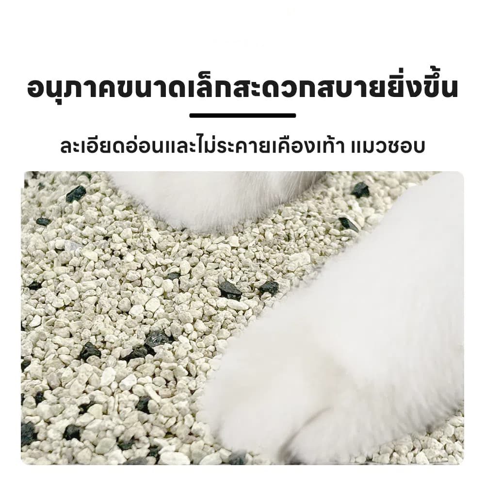 PetStern x Petcho ทรายแมวภูเขาไฟ เกรดพรีเมี่ยม Premium Cat Litter 100% จากธรรมชาติ ฝุ่นละอองต่ำ ดับกลิ่นได้ รูปที่ 7