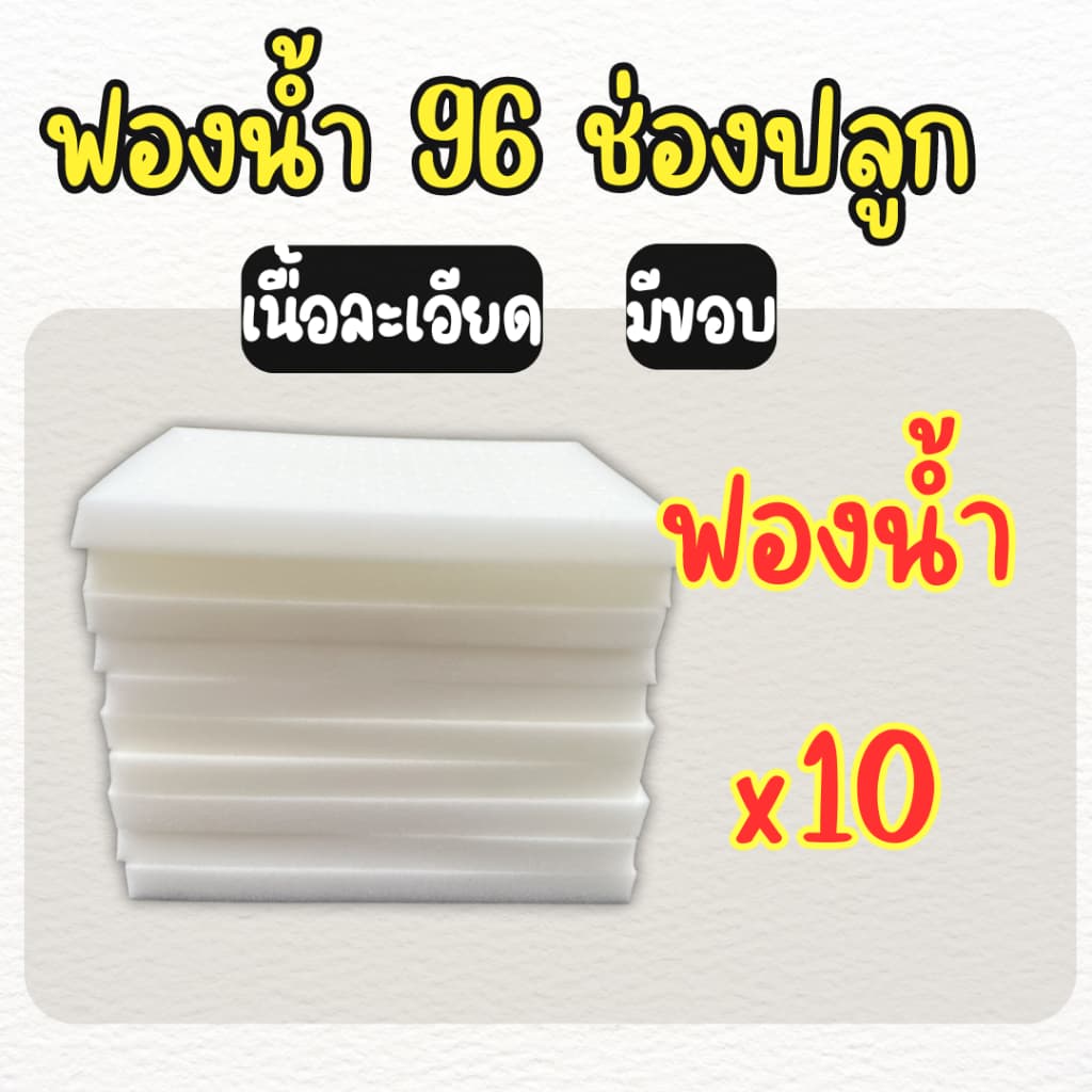 ฟองน้ำเพาะเมล็ด ฟองน้ำเพาะผักไฮโดรโปนิกส์ ผักสลัด ** 96 ช่องปลูก** เนื้อละเอียด แบบมีขอบ รูปที่ 1