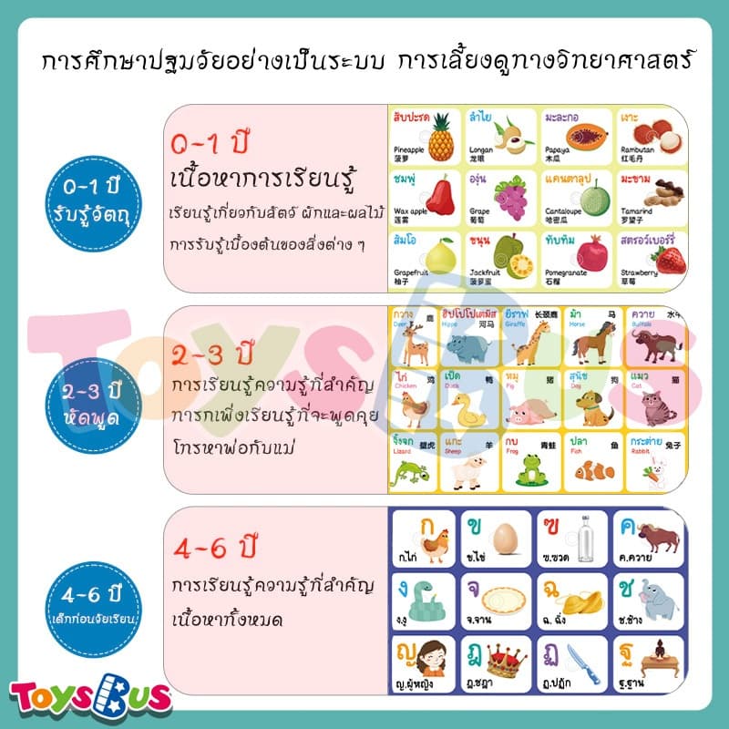 โปสเตอร์พูดได้ 3 ภาษา ก ไก่ติดผนัง คำศัพท์เด็ก ของเล่นเสริมพัฒนาการเด็ก 3 ขวบ abc มี เสียง คำศัพท์ภาษาอังกฤษเด็ก 2 ขวบ รูปที่ 4