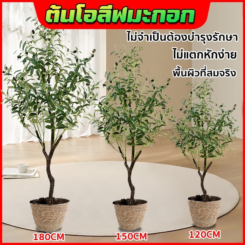 ต้นโอลีฟ ต้นมะกอกปลอม ลำต้นสีน้ำตาลเหมือนของจริง พืชจำลอง ยากที่จะบอกจริงจากเท็จ 120/150/180cm รูปที่ 1
