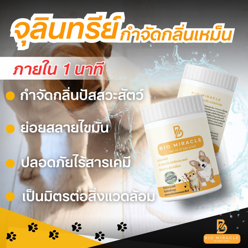 BIO Miracle ไบโอมิราเคิล จุลินทรีย์ ดับกลิ่นฉี่สัตว์ ฉี่หมาแมว กลิ่นเหม็น เป็นสารออร์แกนิค ไม่เป็นอันตรายต่อสัตว์ รูปที่ 4