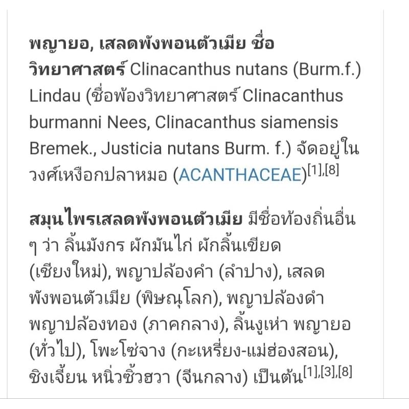 ต้นเสลดพังพอนตัวเมีย พญายอ ต้นไม้สมุนไพรไทย รักษา ผักสวนครัว ตำรับยาไทย จัดสวนแต่งบ้าน ดิน ปุ๋ย เมล็ดพืช กระถาง ต้นกล้า รูปที่ 6