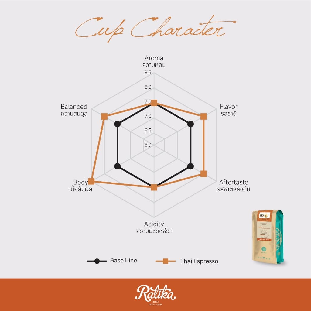 Ratika | เมล็ดกาแฟคั่วอราบิก้าแท้ 100% Hillkoff Arabica Coffee คั่วกลาง ขนาด 250 กรัม รูปที่ 5