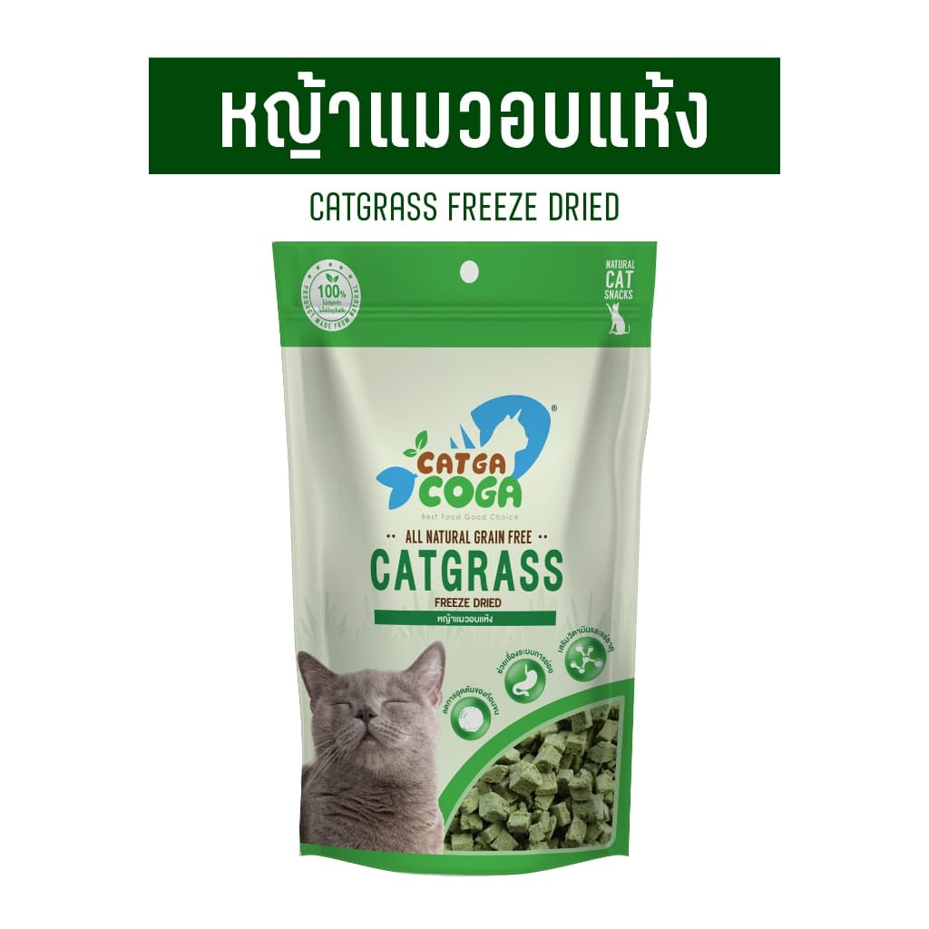 Cat Grass ต้นอ่อนข้าวสาลีอบแห้ง รูปที่ 4