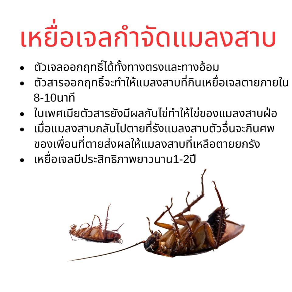 เหยื่อเจลกำจัดแมลงสาบ นำเข้าจากญี่ปุ่น รูปที่ 2