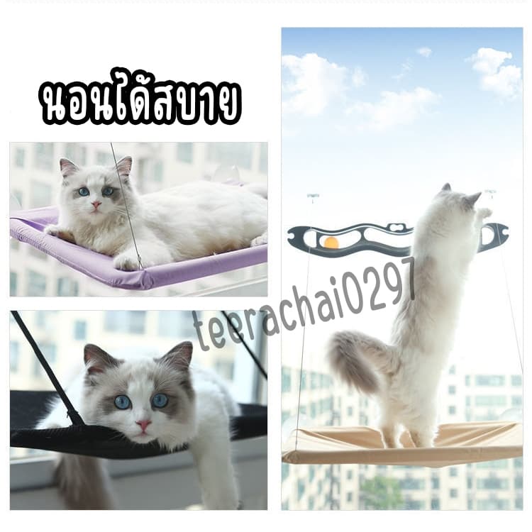 เปลแมวติดกระจก รับน้ำหนักได้ถึง 20kg เปลสัตว์เลี้ยงสีพาสเทล ที่นอนแมว บ้านแมว รูปที่ 4