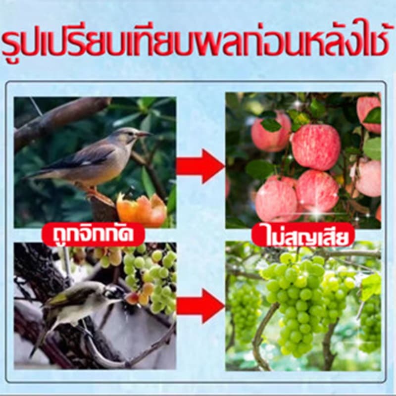 10000เมตรไม่มีนก ก้อนไล่นกพิราบ 12 แคปซูล/กล่อง การกำจัดที่มีประสิทธิภาพและยาวนาน ใช้ในบ้านและนอกบ้าน นกพิราบบินไปทันที รูปที่ 5