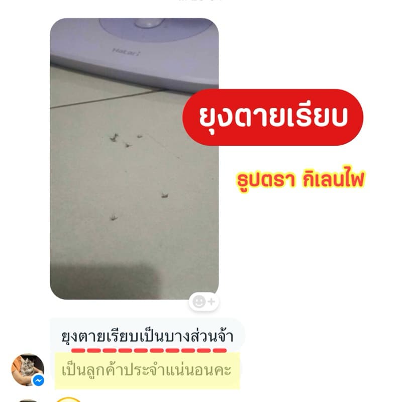 ธูปไล่ยุง ของแท้ ตรากิเลนไฟ รูปที่ 4
