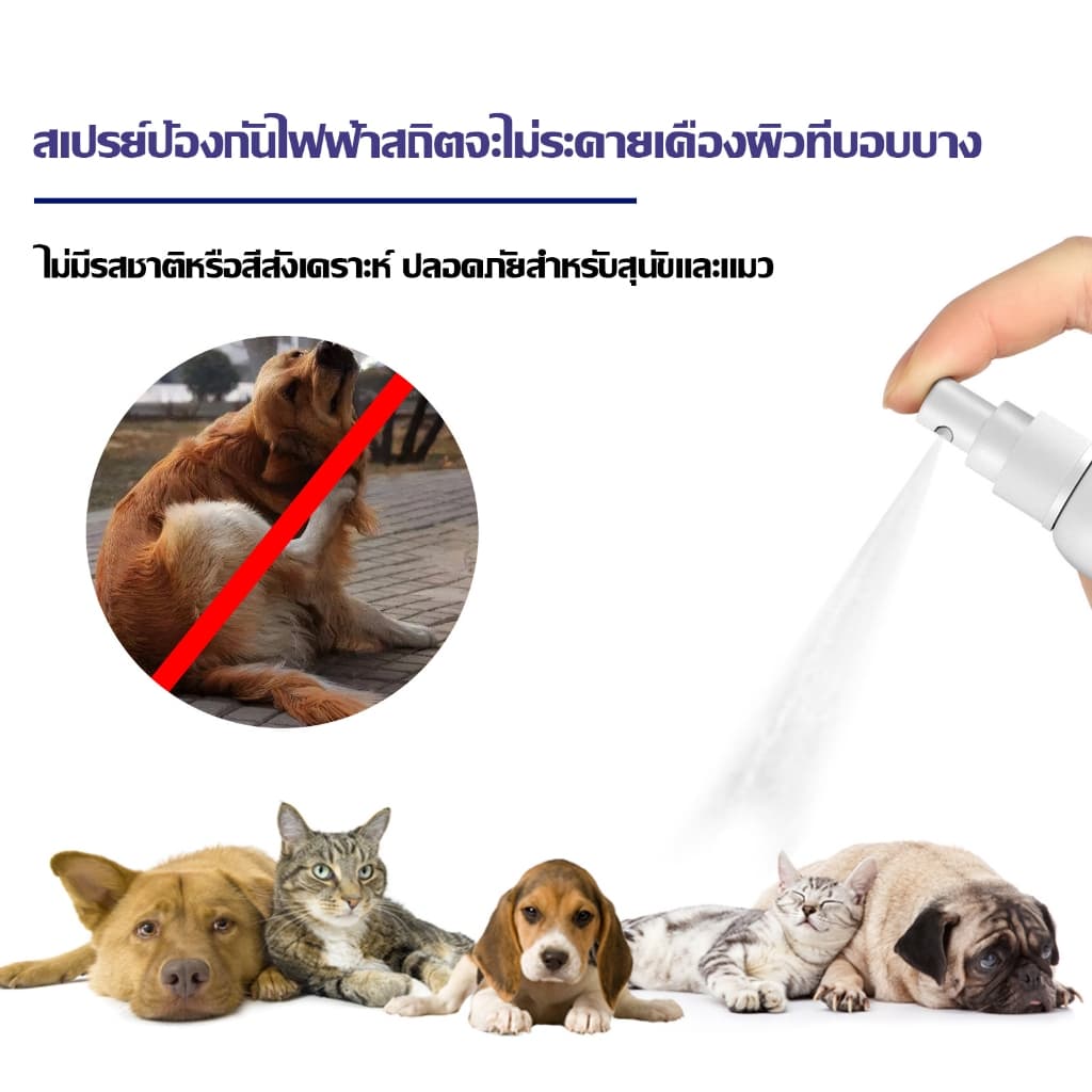 สเปรย์กำจัดเห็บ น้ำยากำจัดเห็บหมัด สเปรย์กำจัดเห็บหมัด ยาฆ่าเห็บหมัด สูตรพืช กำจัดเห็บหมัดสุนัข บรรจุ 120ml รูปที่ 5