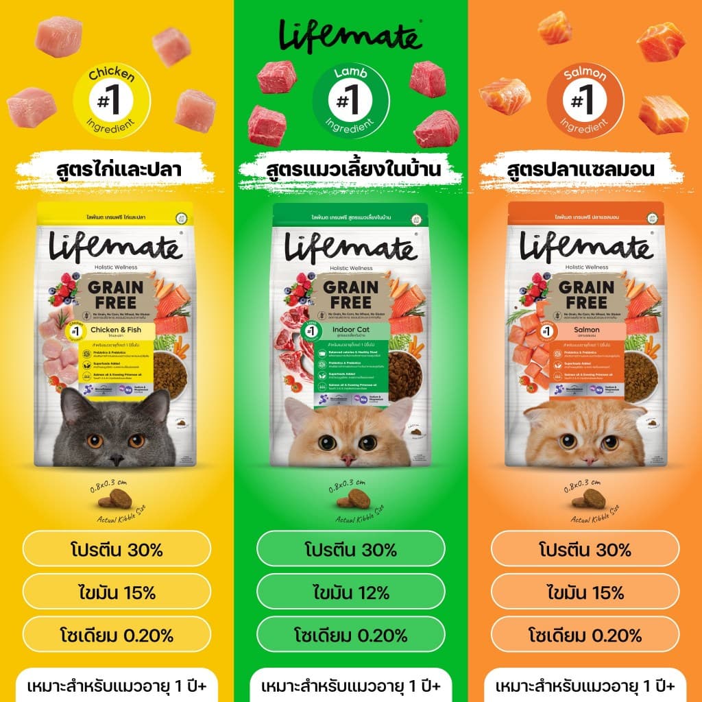 Lifemate อาหารแมว เกรดโฮลิสติก ควบคุมโซเดียม ถนอมไต ครบทุกสูตร พรีเมียม สำหรับแมว1ปีขึ้นไป รูปที่ 4