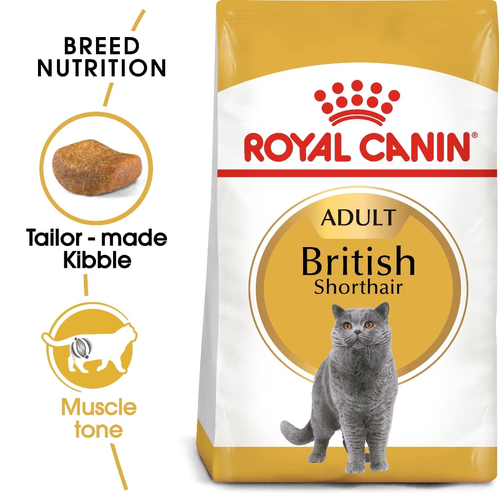 Royal canin british shorthair 4 kg อาหาร สำหรับแมวโต พันธุ์ บริติช ชอร์ตแฮร์ 4 กก.Exp:05/2027 รูปที่ 4