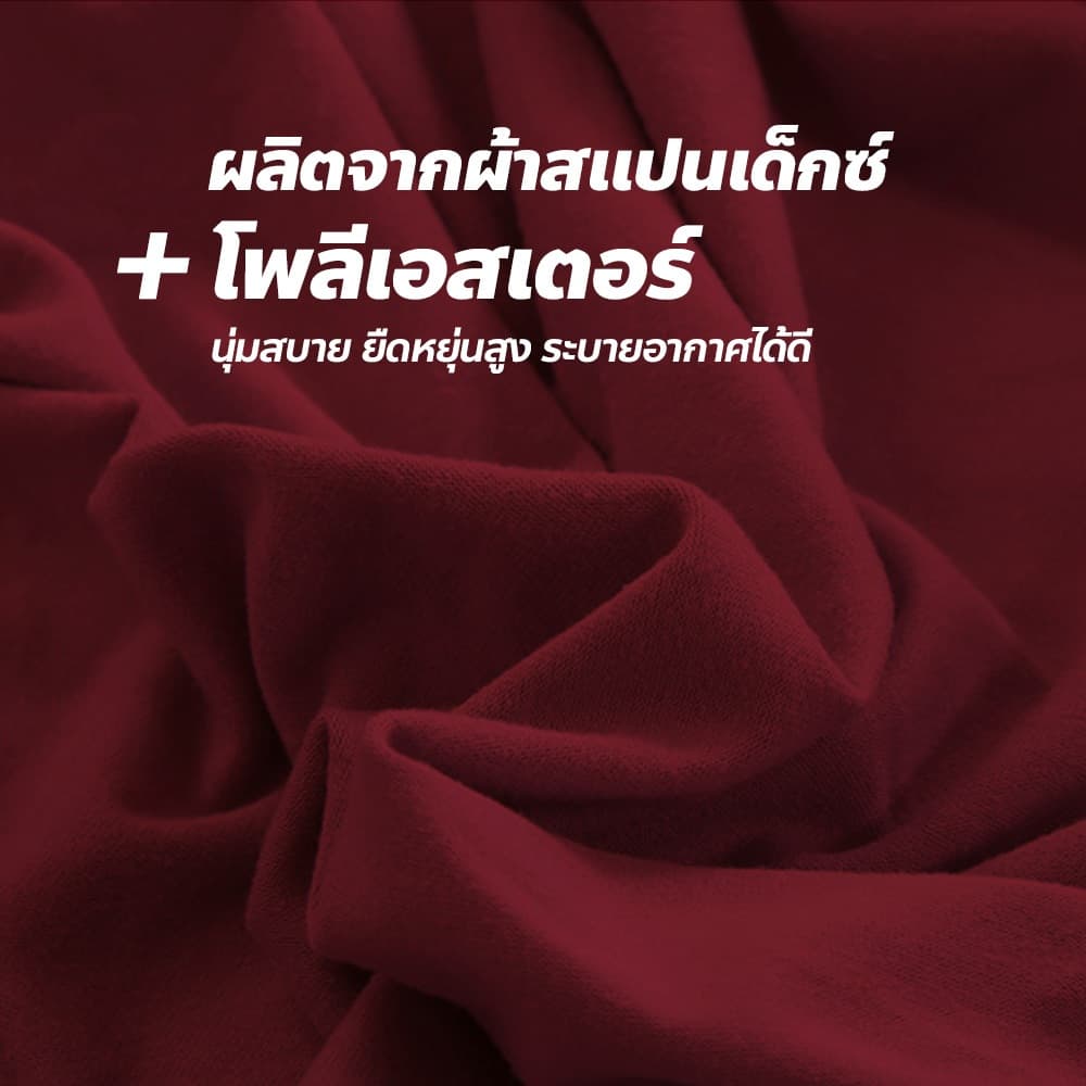 chishop ผ้าคลุมเฟอร์นิเจอร์ ผ้าคลุมโซฟา ยืดหยุ่นใส่คลุมกันฝุ่น กันเปื้อนได้ +1ปลอกหมอน รูปที่ 5