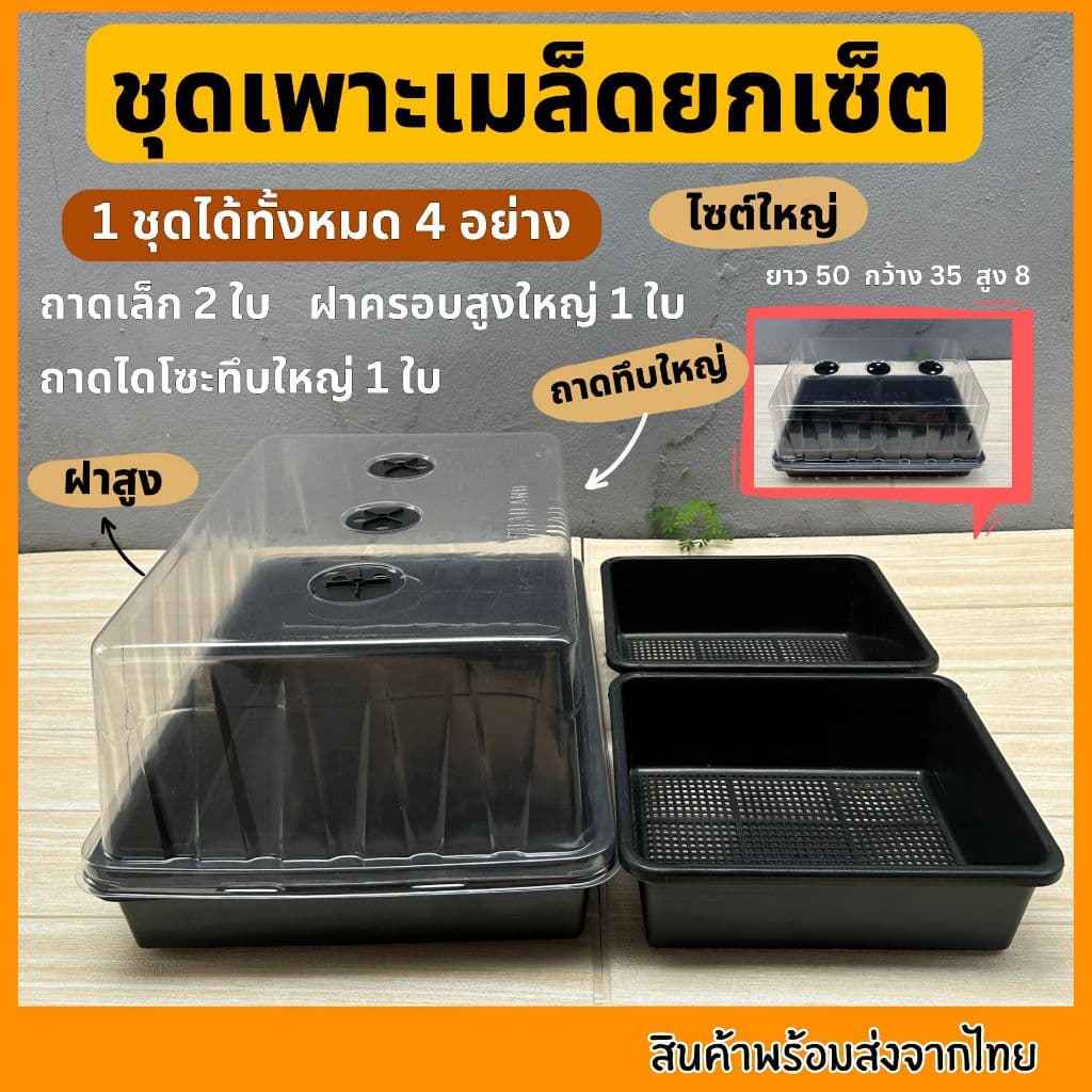 ชุดเพาะเมล็ด เซ็ตถาดไดโซะ ถาดทึบ ถาดรู ชุดเพาะชำ ฝาครอบ ถูกที่สุด รูปที่ 6