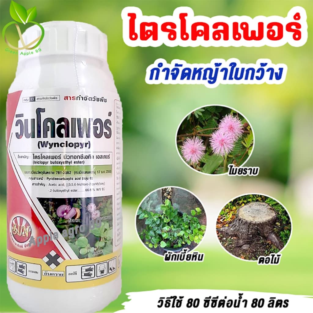 ยกแพ็ก คุ้มกว่า ไตรโคลเพอร์ ขนาด 500 ซีซี x 6 ขวด ยาฆ่าตอไม้ ยาฆ่าตอ กำจัดหญ้าใบกว้าง กำจัดตอไม้ รูปที่ 2