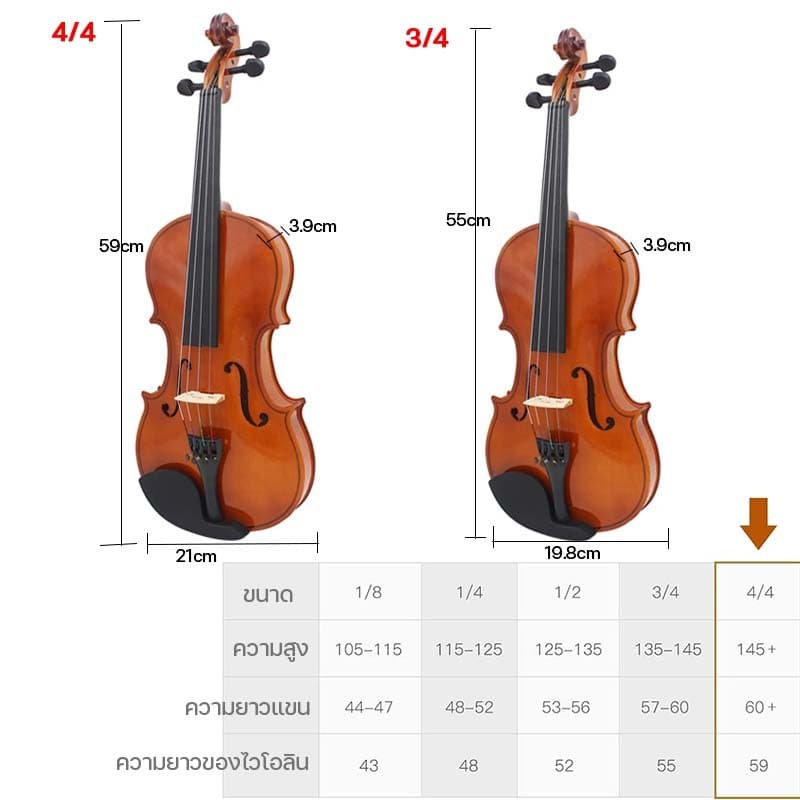 ไวโอลิน Violin Wood ไวโอลีน ไวโอลินไม้ คุณภาพสูง พรีเมี่ยม อุปกรณ์ครบชุด พร้อมกระเป๋าใส่ไวโอลิน ขนาด 4/4 รูปที่ 2