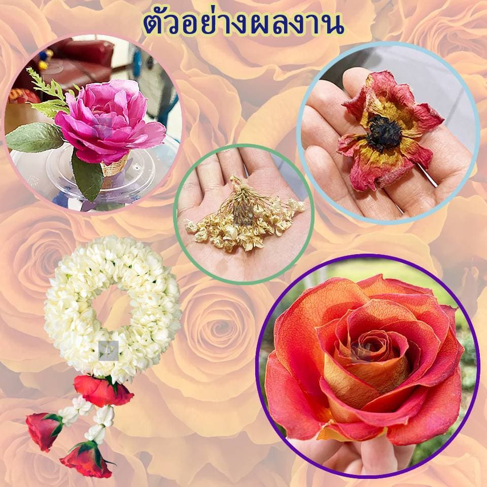 ถูกที่สุดทรายซิลิก้า ซิลิก้าทราย สำหรับทำดอกไม้แห้ง 1 กิโลกรัม อบดอกไม้ มาลัยบ่าวสาว ซิลิก้าทรายอบดอกไม้แห้ง รูปที่ 3