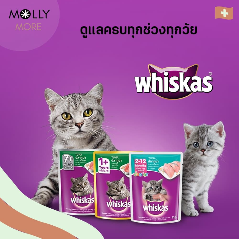 MOLLY WHISKAS อาหารแมว ชนิดเปียก แบบซอง อาหารเปียกแมว วิสกัส เพาช์ รูปที่ 6