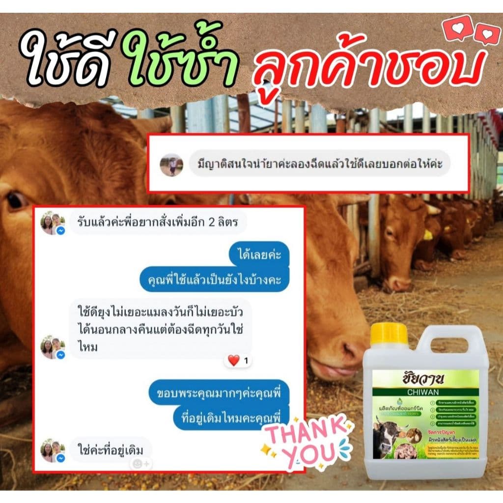 ชัยวาน ดูแลสัตว์ไล่ยุง ไล่แมลง บอกลาแมลงรบกวน เห็นผลตั้งแต่ครั้งแรกที่ใช้ ขนาด 1 ลิตร ⭐แถมฟรี⭐หัวฉีดฟ็อกกี้ 1 ชิ้น รูปที่ 5