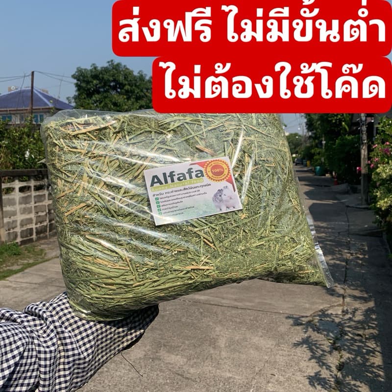 best 1stหญ้าเขียวๆอัลฟาฟ่าก้านใบ แบบปึก5กก และ25kg รูปที่ 1