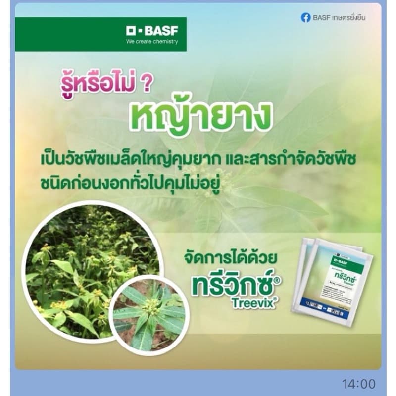 ทรีวิกซ์ ยกกล่อง สารคุมฆ่าวัชพืชคุณภาพสูง byBasf กำจัดวัชพืชใบกว้างยกกล่อง รูปที่ 5