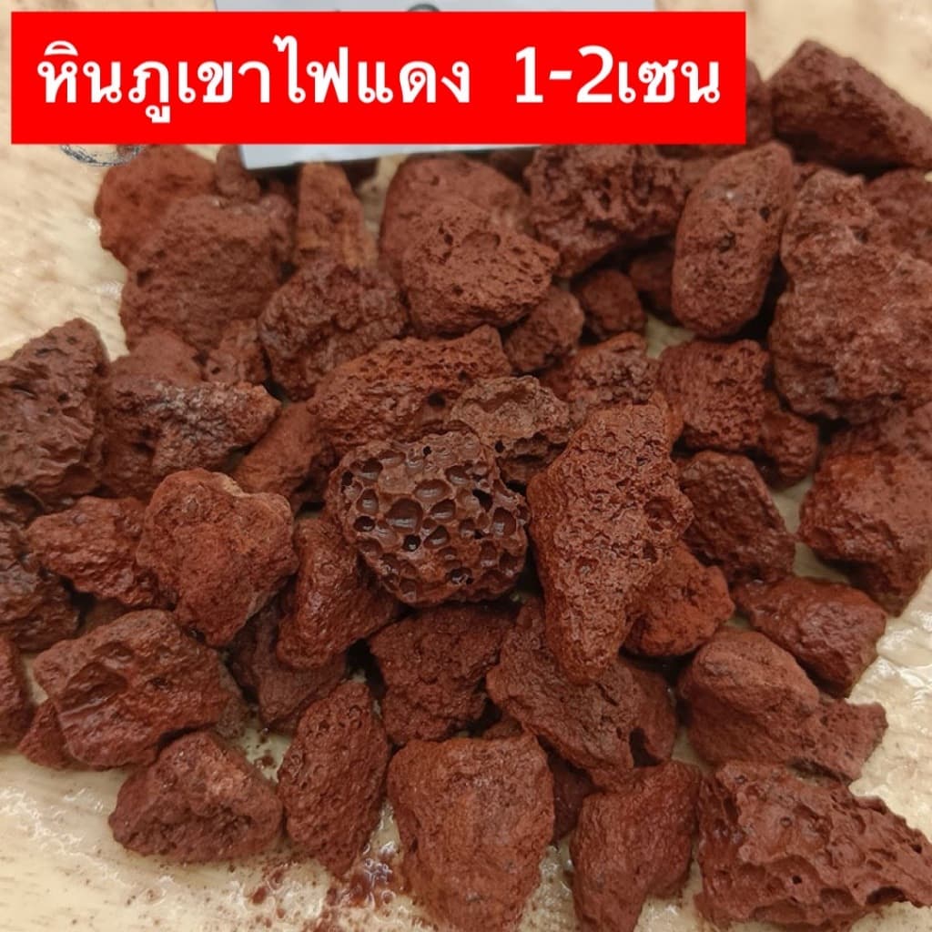 หินภูเขาไฟลาวา หินลาวาแดง หินลาวาแดง | ผสมดินปลูก โรยหน้ากระถาง ใส่บ่อปลา รูปที่ 4