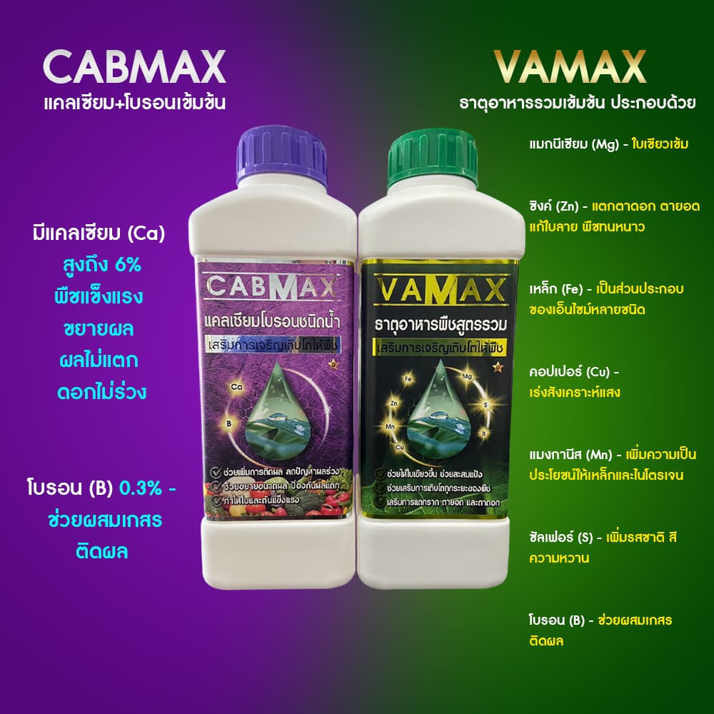 CABMAX แคลเซียมและโบรอนเข้มข้น + VAMAX ธาตุอาหารรวมเข้มข้น 2 ลิตร รูปที่ 2