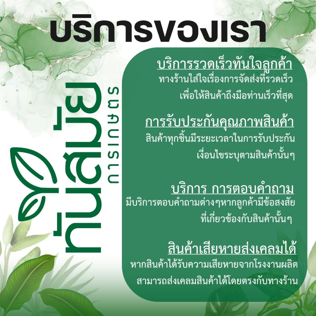 ลูกยางกดแย็กน้ำมัน 767 เครื่องพ่นยา เครื่องตัดหญ้า ลูกยางคาร์บูเรเตอร์ ปั๊มน้ำมัน รูปที่ 9
