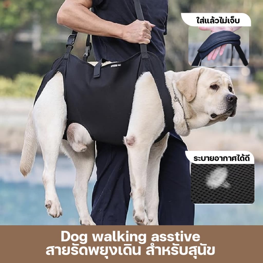 สายรัดพยุงเดินสุนัข เสื้อกั๊กช่วยเดินสุนัขสูงอายุ สำหรับสุนัขบาดเจ็บข้อสะโพกขาหลัง รูปที่ 9