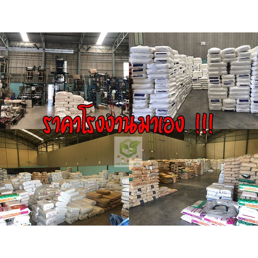 มัดละ 500ใบ ถุงห่อฝรั่ง ขนาด6X13 ตราดาว ไม่ใช้กระดาษ หนาพิเศษ แบบเจาะรูนำ้ไหลออกได้ ถุงห่อผลไม้ กันUV ราคาโรงงาน เกรดAA รูปที่ 4