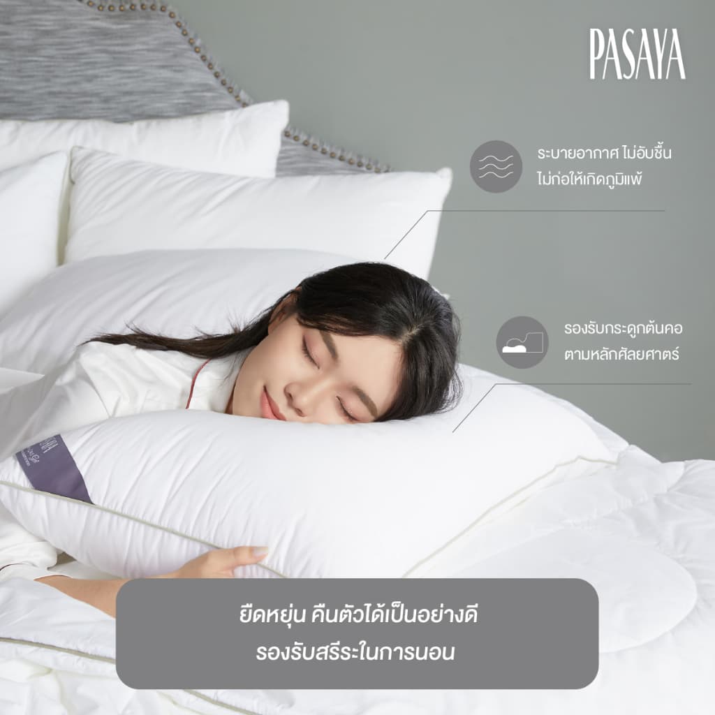 PASAYA ไส้หมอนหนุน รูปที่ 1