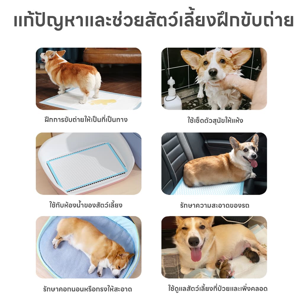 yoyopet : แพ็คสุดคุ้ม 3ถุง แผ่นรองฉี่สัตว์เลี้ยง ที่ซับปัสสาวะ สุนัข แมว ที่รองฝึกขับถ่าย ซึมซับเร็ว รูปที่ 4