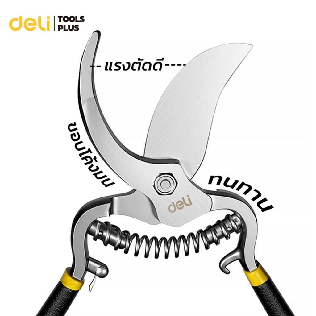 Deli กรรไกรตัดกิ่งไม้ กรรไกรตัดกิ่ง กรรไกรทำสวน 8 นิ้ว ใบมีดคม มีสปริงคืนตัว ทนทาน Pruning Shears รูปที่ 6