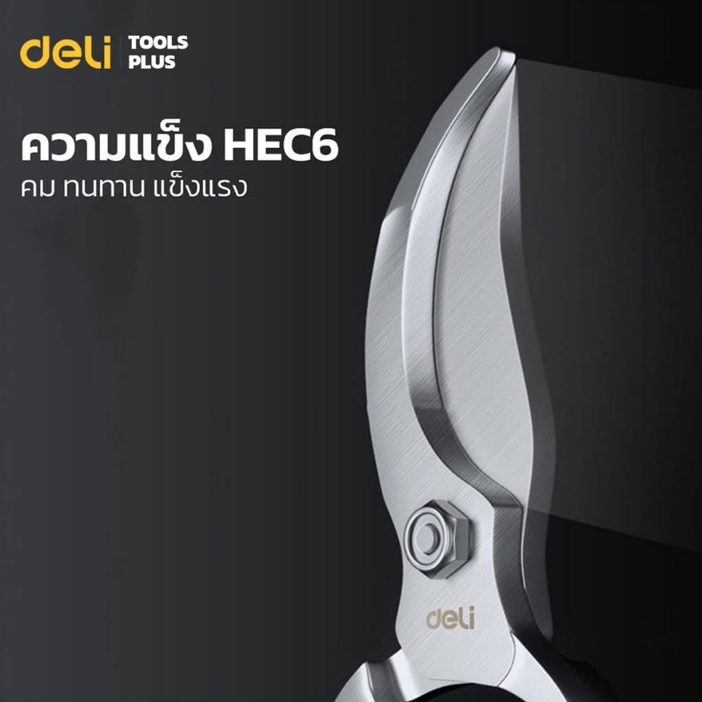 Deli กรรไกรตัดกิ่งไม้ กรรไกรตัดกิ่ง กรรไกรทำสวน 8 นิ้ว ใบมีดคม มีสปริงคืนตัว ทนทาน Pruning Shears รูปที่ 5