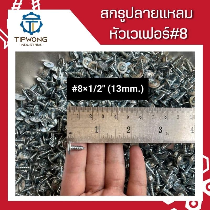 สกรูปลายแหลม หัวเวเฟอร์ชุบขาว #8 รูปที่ 4