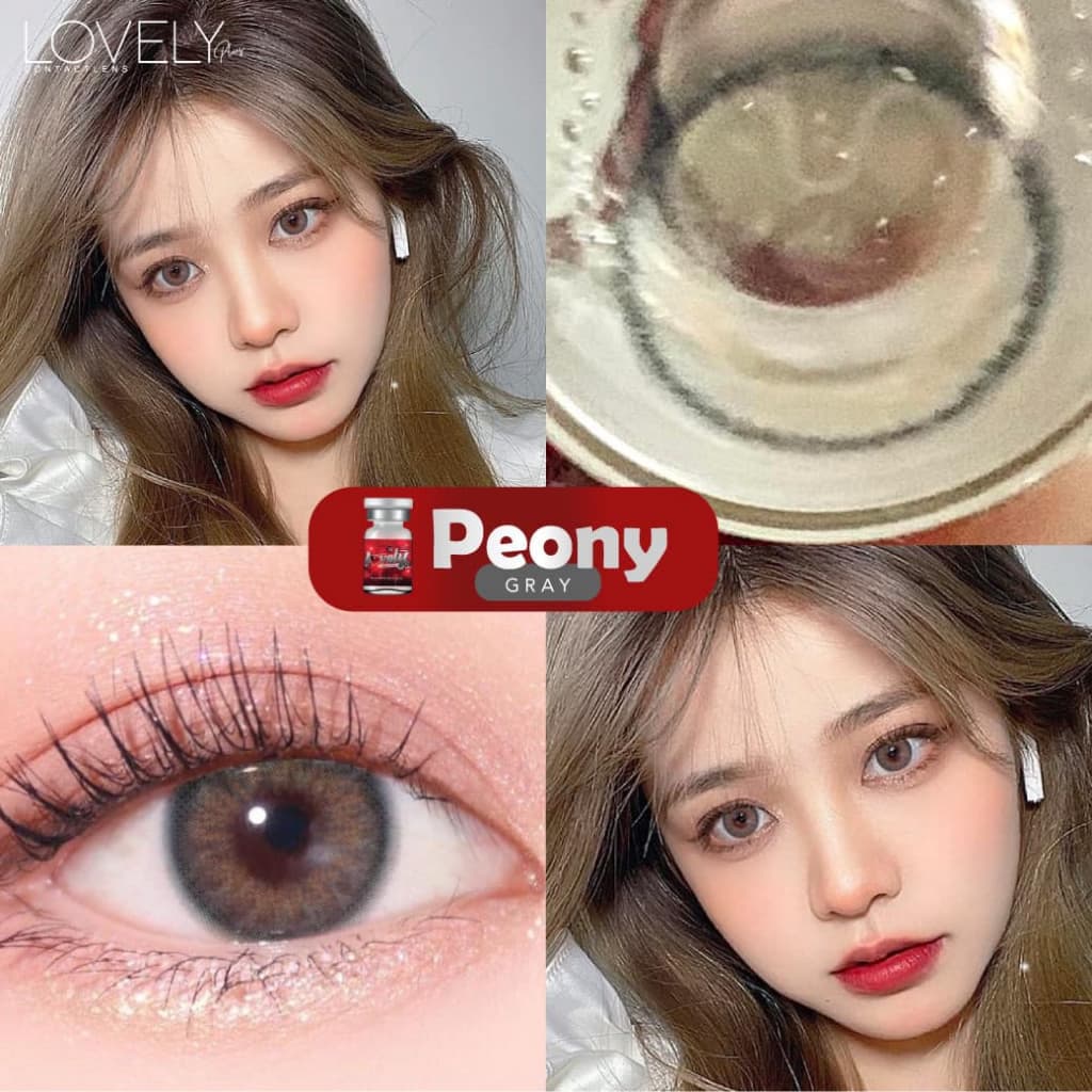คอนแทคเลนส์ ขนาดมินิBrown/Gray Peony รูปที่ 6