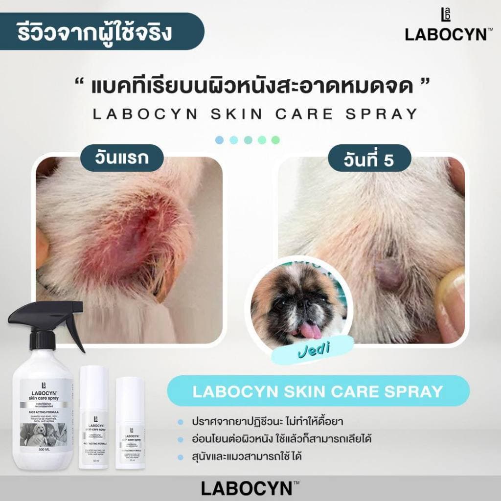 Labocyn Skin Care Spray สเปรย์ดูแลผิวหนังสุนัข แมว ผิวหนัง แผลสด เชื้อราแมว ยีสต์ แบคทีเรีย รูปที่ 5