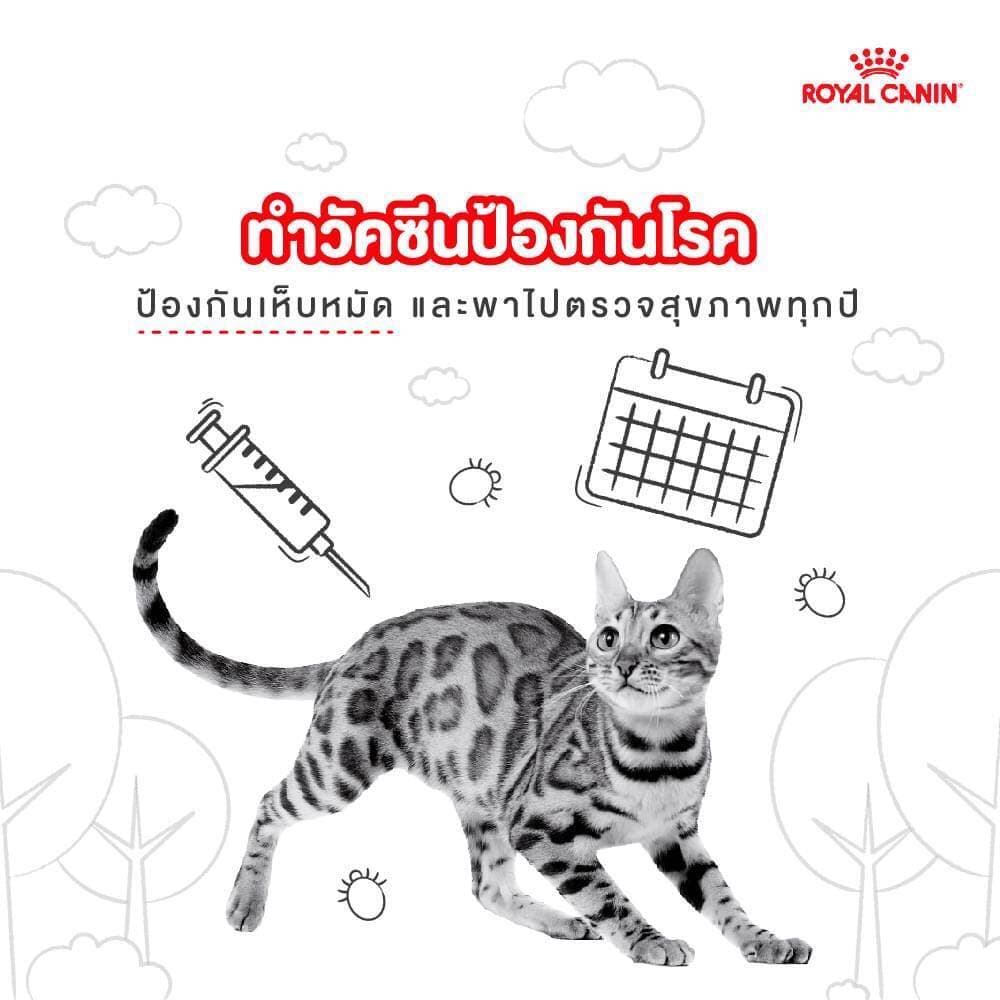 โปรแรง 6.6 เท่านั้น ! Royal Canin Fit โรยัล คานิน ฟิต สำหรับแมวโต เพื่อรูปร่างสมส่วน อายุ 1 ปีขึ้นไป ขนาด 4 kg. รูปที่ 8