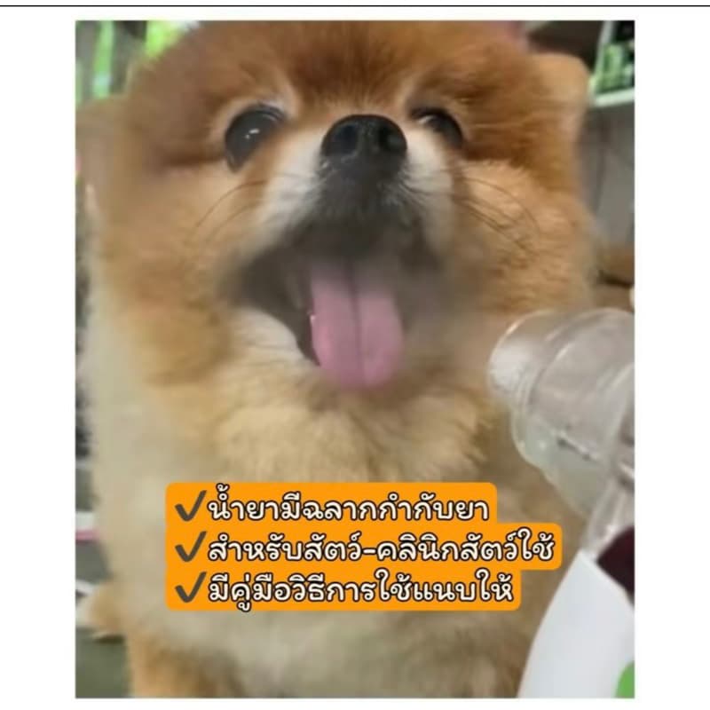 ชุดเครื่องพ่นละอองMESH สำหรับสัตว์เลี้ยง รูปที่ 3