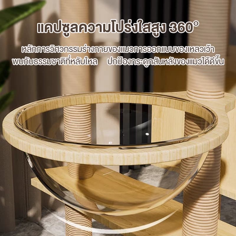 คอนโดแมว คอนโดแมวไม้ เสาลับเล็บแมวได้ สูง147cm ตัวหนา เพิ่มความสูง งานไม้ทั้งหลัง แข็งแรง ขนาดใหญ่ รูปที่ 3