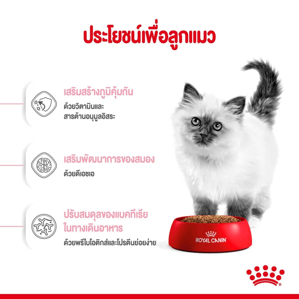 Royal Canin kitten 4kg สูตร ลูกแมว 4 kg สำหรับลูกแมว อายุ 4 - 12 เดือน รูปที่ 4